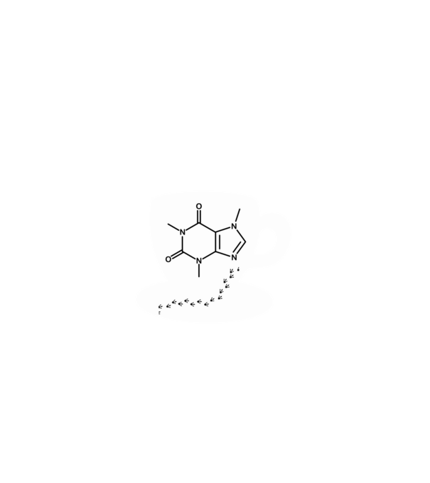 KÁVÉ és dinó minta fehér pólón