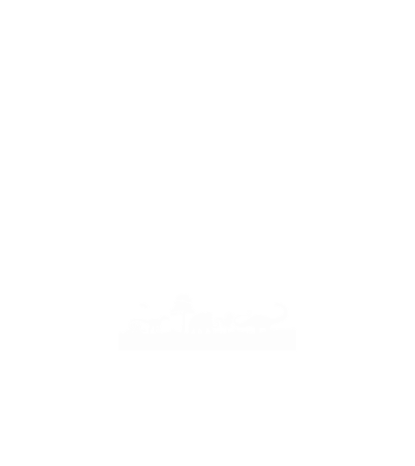 Evolúvió minta fekete pólón