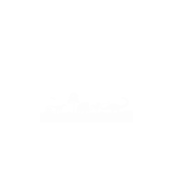 Evolúvió minta fehér pólón