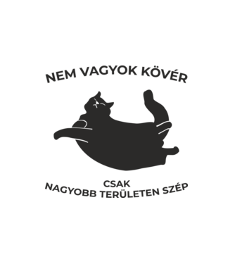 Nem vagyok kövér minta fehér pólón