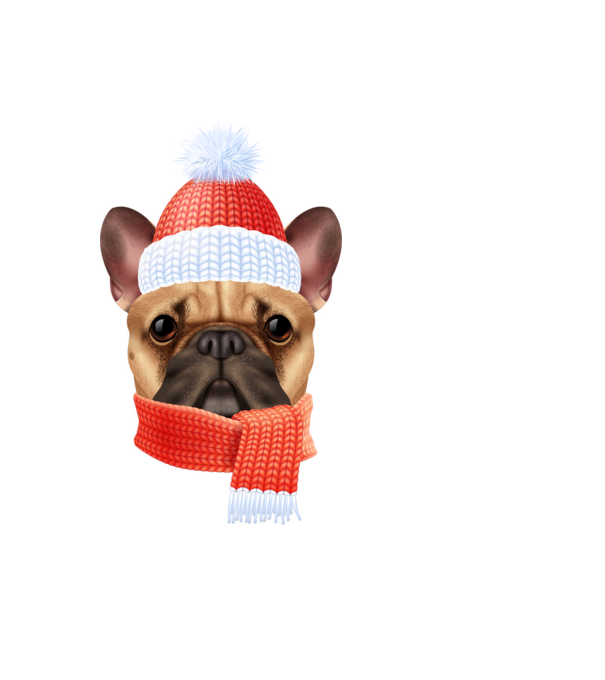 Francia Bulldog karácsony minta világoskék pólón