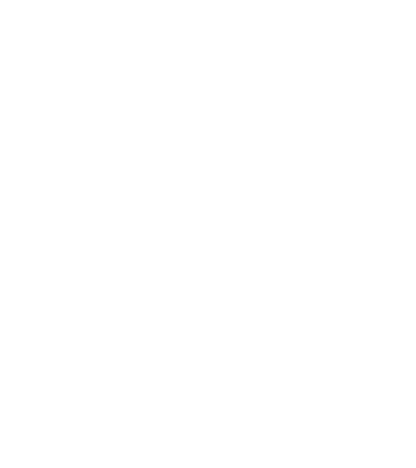 Kétféle sofőr Audi minta fekete pólón