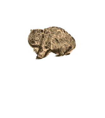 Wombat minta türkiz pólón
