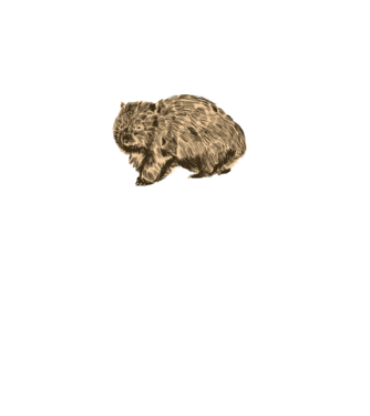 Wombat minta zöld pólón