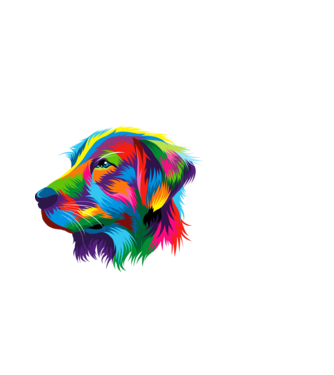 Golden retriever  minta fekete pólón