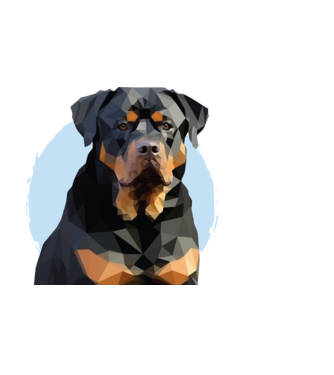 Rottweiler minta világoskék pólón