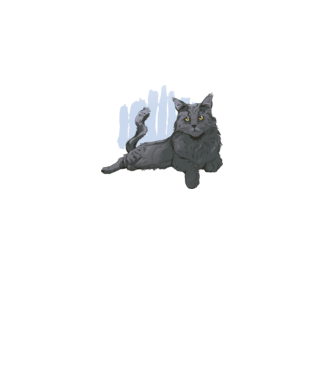 Maine Coon minta fehér pólón