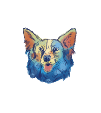Collie kutya minta fehér pólón