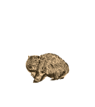 Wombat minta sötétkék pólón