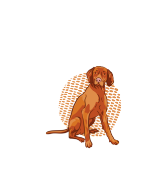 Vizsla minta fehér pólón