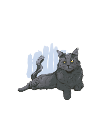Maine Coon minta fehér pólón
