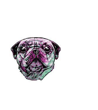 Mopsz minta világoskék pólón