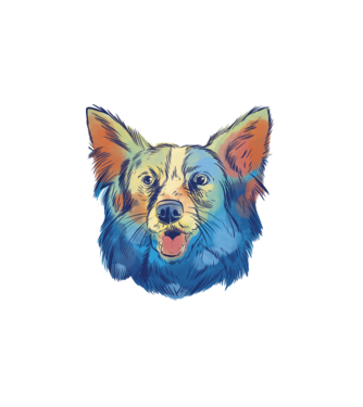 Collie kutya minta fehér pólón