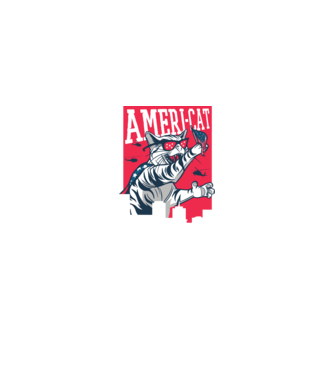 Amerikai macska minta türkiz pólón
