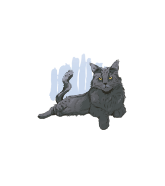 Maine Coon minta fehér pólón