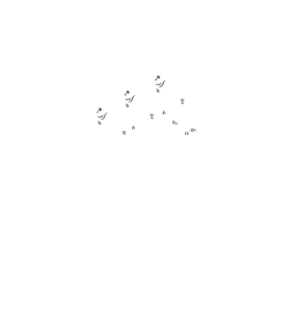 Horgász adidas minta fekete pólón