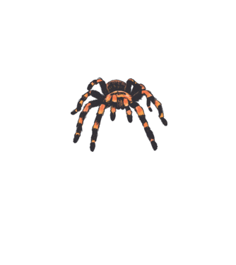 Tarantula minta szürke pólón
