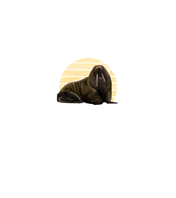 Rozmár minta fekete pólón