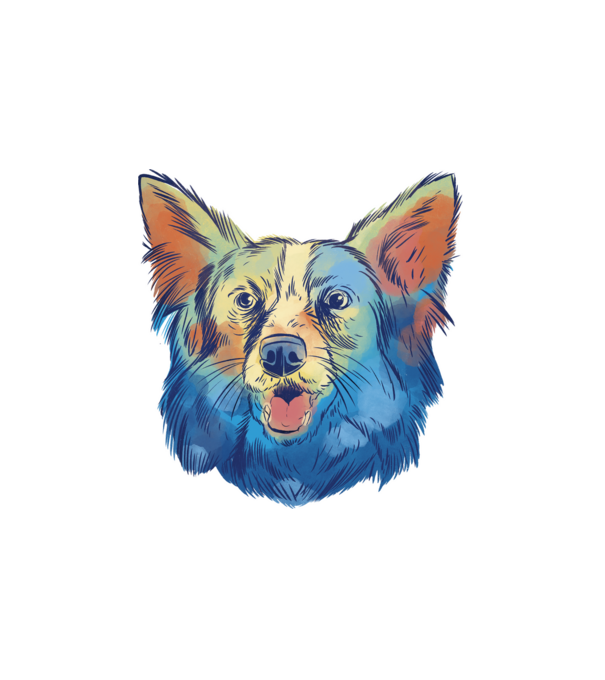 Collie kutya minta fehér pólón