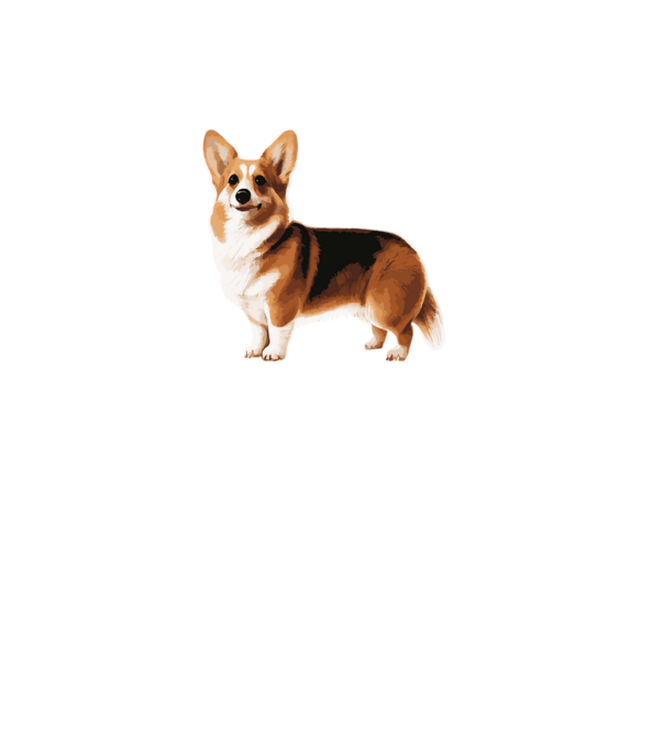 Corgi minta türkiz pólón