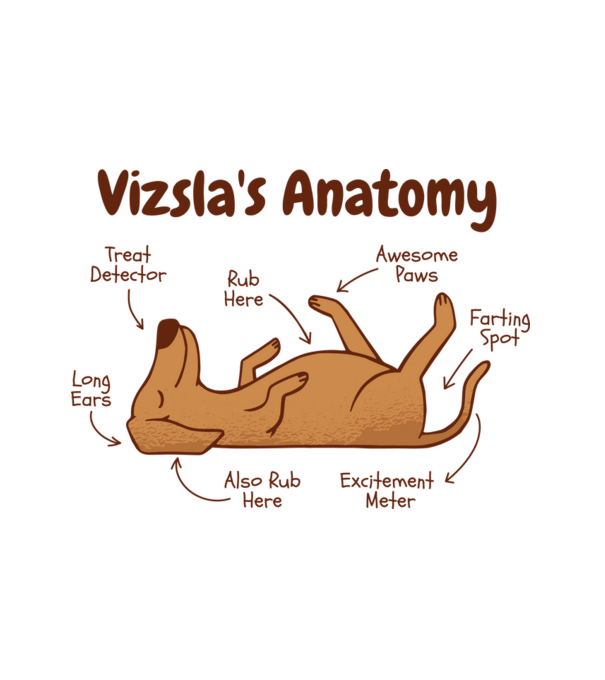 Vizsla anatómia minta fehér pólón