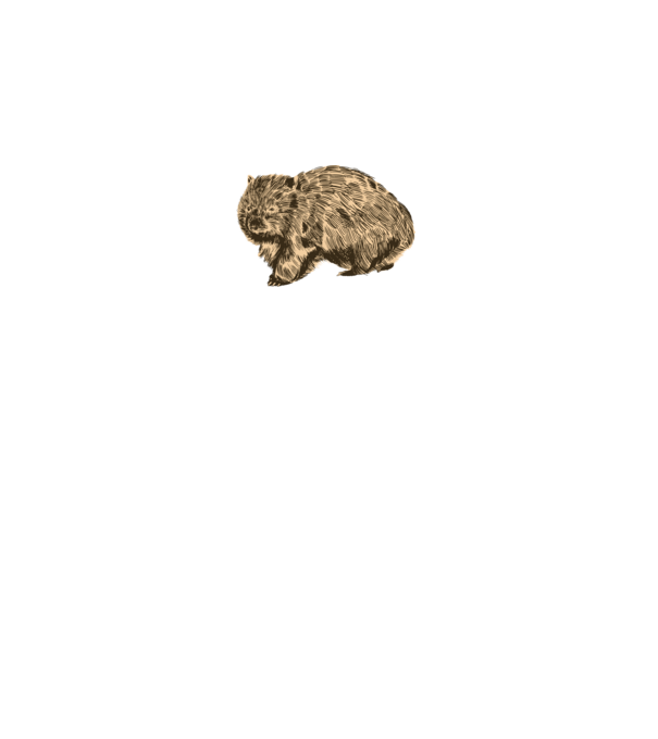 Wombat minta fekete pólón