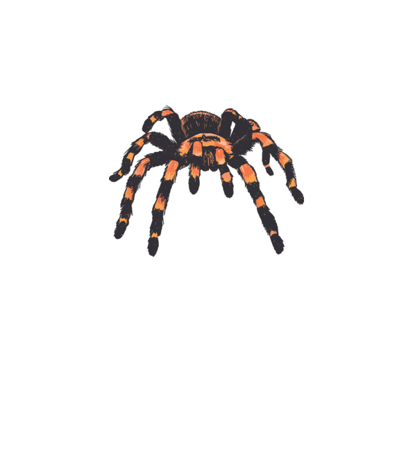 Tarantula minta fehér pólón
