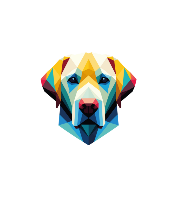 Labrador minta fehér pólón