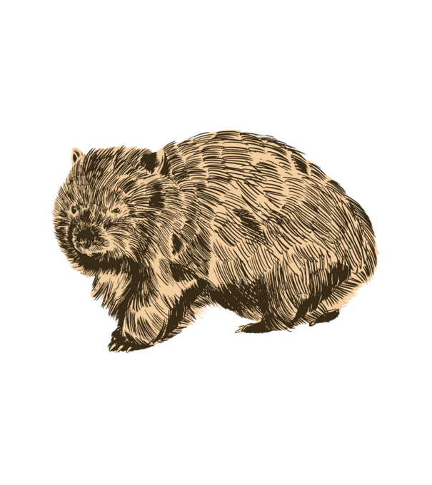 Wombat minta fehér pólón