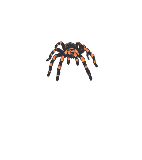 Tarantula minta szürke pólón