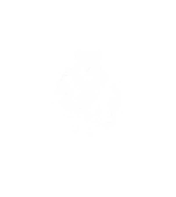 Viking maci minta fehér pólón