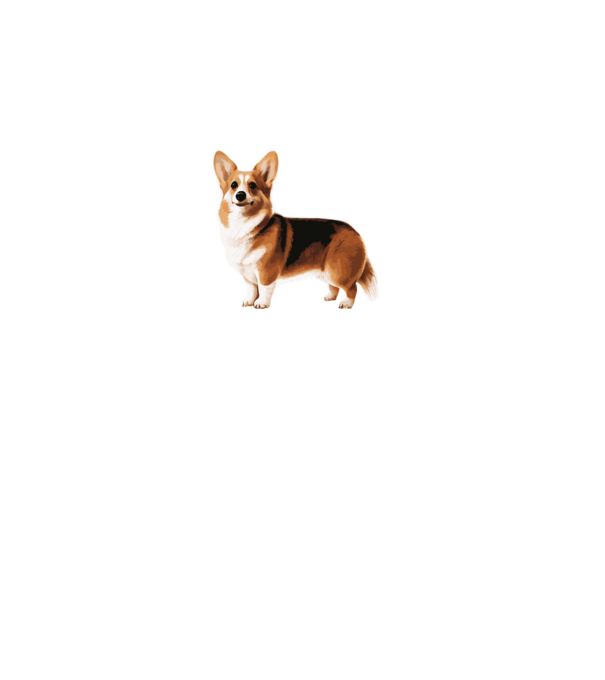 Corgi minta szürke pólón