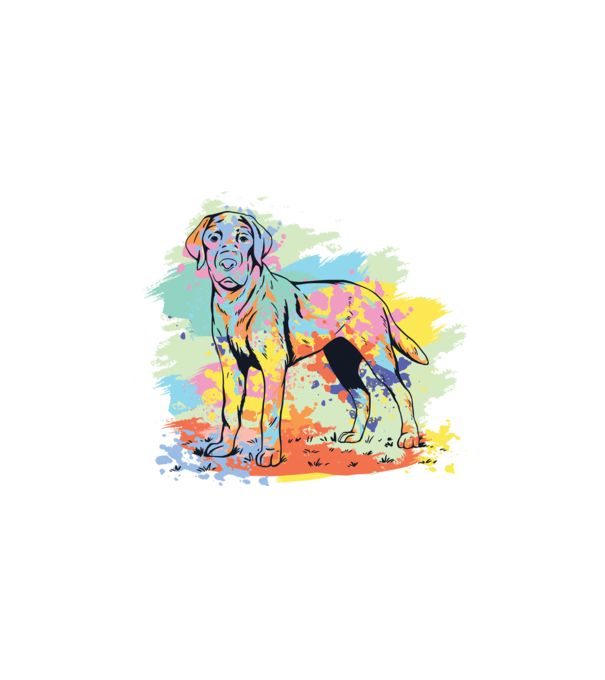 Labrador minta fehér pólón
