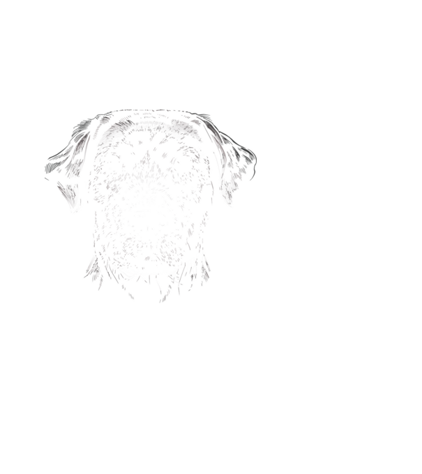 Labrador minta fehér pólón