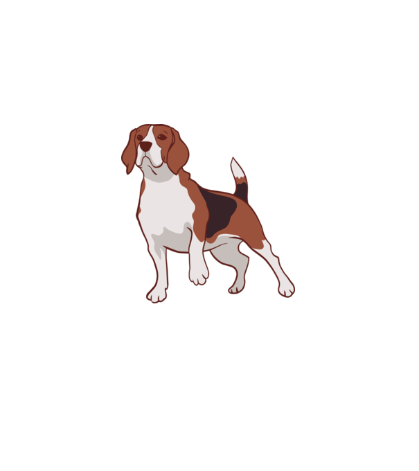Beagle minta zöld pólón