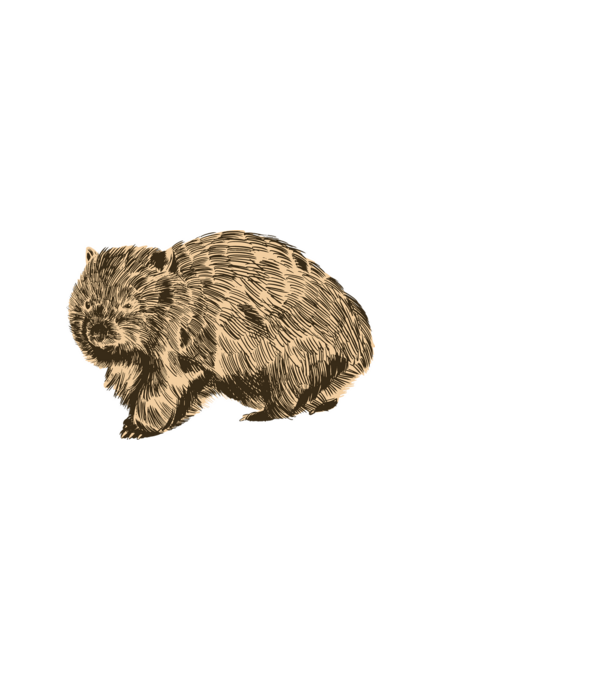 Wombat minta sötétkék pólón