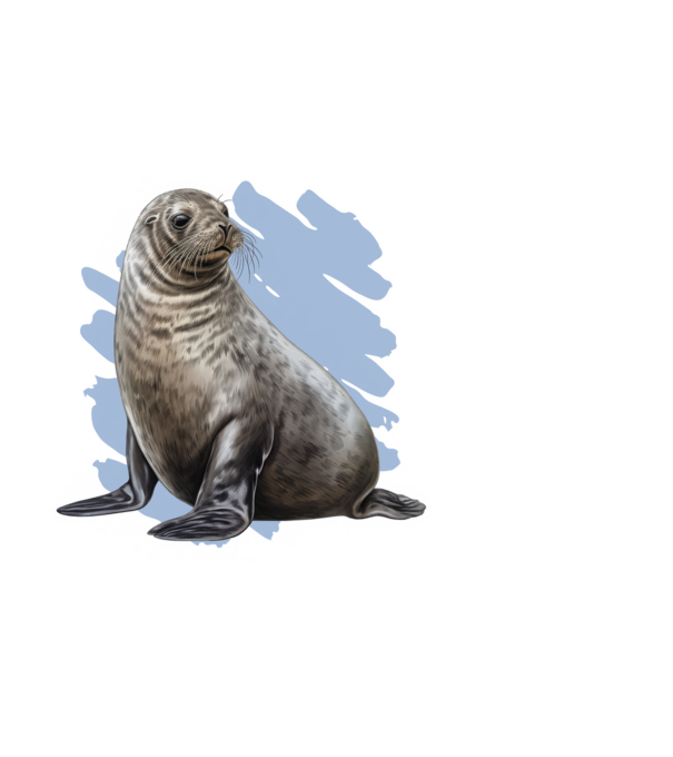 Fóka minta fehér pólón