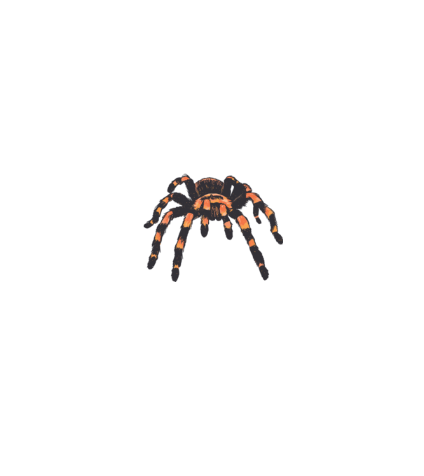 Tarantula minta fehér/piros pólón