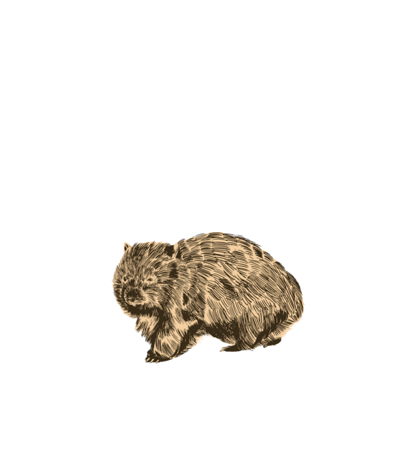 Wombat minta sötétkék pólón