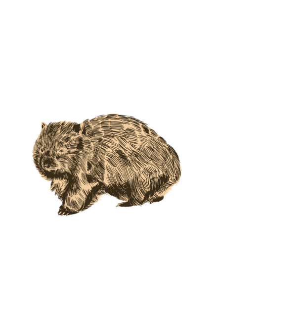 Wombat minta fehér pólón
