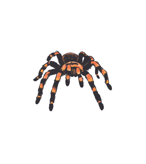 Tarantula minta fehér pólón