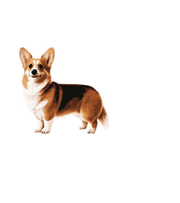 Corgi minta fehér pólón