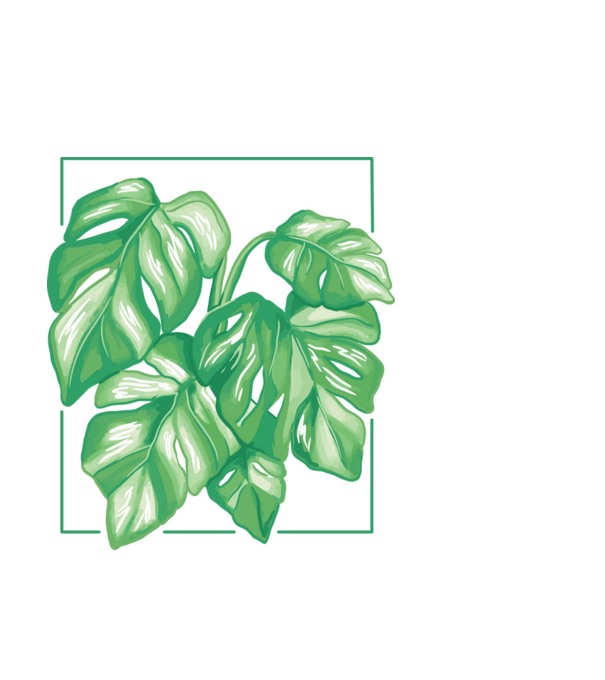 Monstera variegata növény minta világoskék pólón