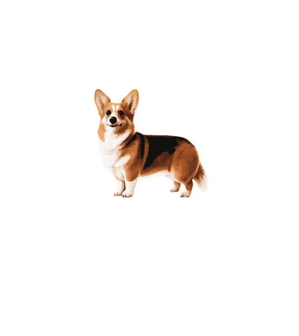 Corgi minta farmerkék pólón