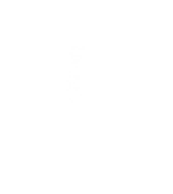 Golfozó minta fekete pólón