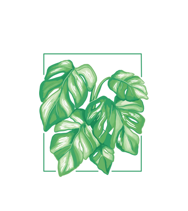 Monstera variegata növény minta fehér pólón
