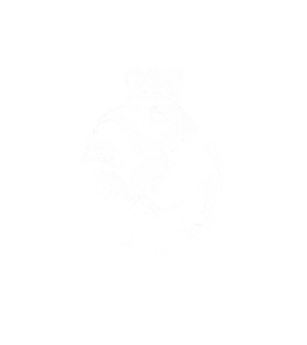 Viking maci minta fehér pólón