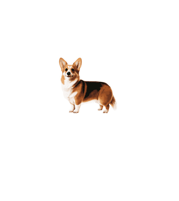 Corgi minta szürke pólón