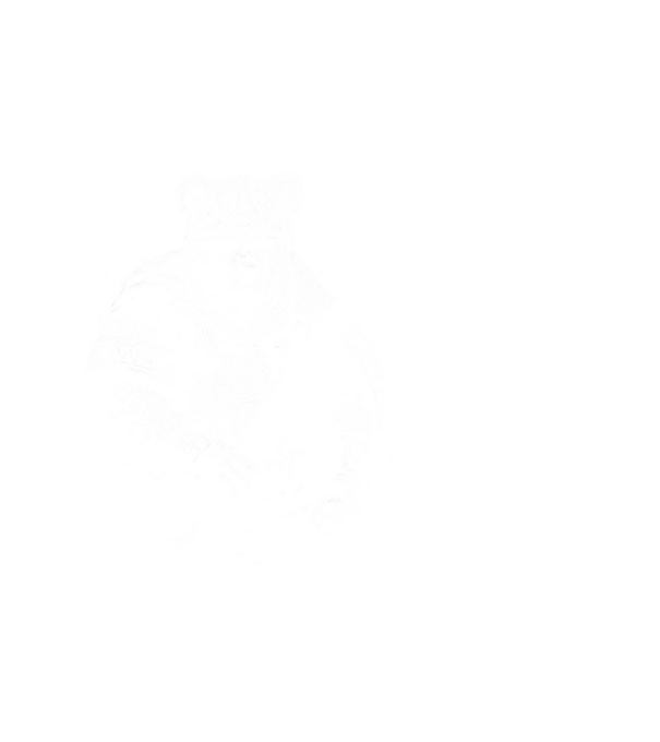 Viking maci minta fehér pólón