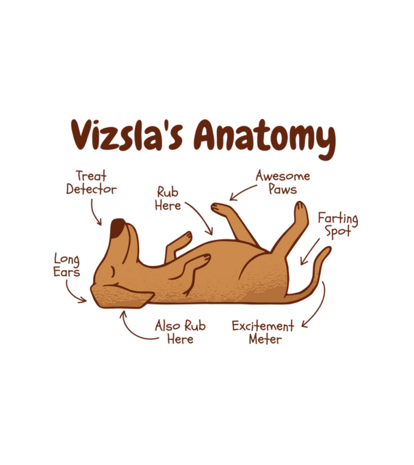 Vizsla anatómia minta fehér pólón